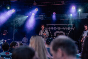 Birds View – Above Chaos