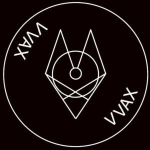 VVAX Collective w/ Masha Dabelka