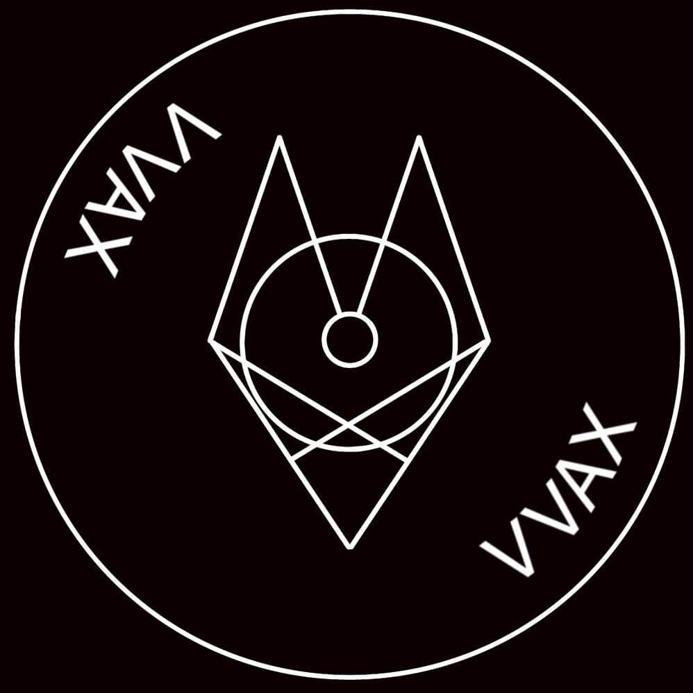 VVAX Collective w/ Masha Dabelka
