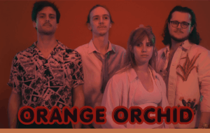Orange Orchid